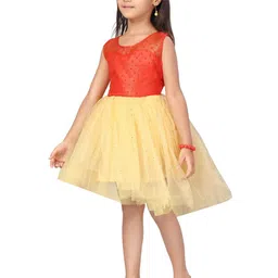 YK Girls Net Fit & Flare Dress image 3