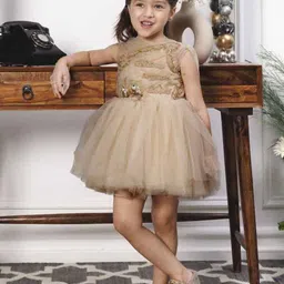 The Lush Affair Girls Print Flutter Sleeve Net A-Line Dress image 5