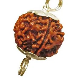 RAVIOUR LIFESTYLE Girls Brown Jewellery Set-image-5