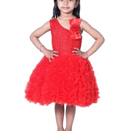 Wish little Girls Red Net A-Line Dress image 1