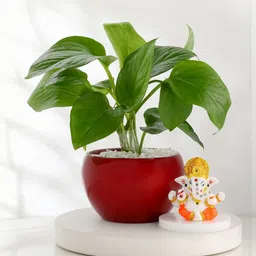 fnp 2-Pcs Diwali Home Gift Set For Family-picture-30