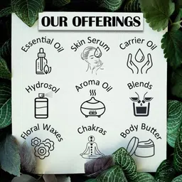 Deve Herbes Pure Red Cidar Essential Oil - 10 ml image 4