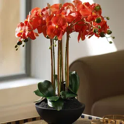 Pure Home and Living Orange Colored & Black Artificial Orchid Flower in Pot-image-31