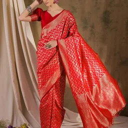 Sangria Woven Design Saree With Blouse-image-73