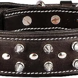 sparrow daughter DCL-SD-5 Dog Everyday Collar-picture-22