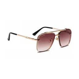 LIZA ANGEL Unisex Brown Lens & Gold-Toned Aviator Sunglasses with-image-47