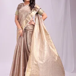Astita Striped Woven Design Zari Organza Saree image 3