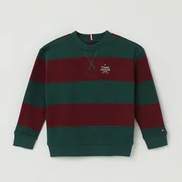 Tommy Hilfiger Boys Striped Sweatshirt-picture-40