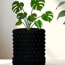 LASAKI Bubble Black Ceramic Handmade Small Planter With Plate-image-85