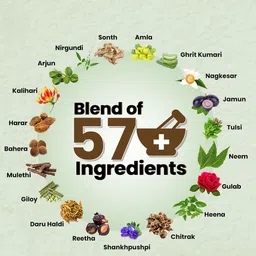 DEEMARK Set Of 2 Herbal Hair Oil Plus With Amla - 200 ml Each image 2