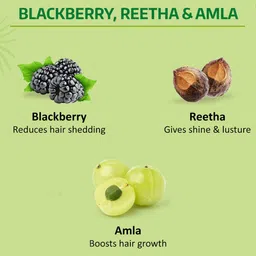 Nyle Naturals Volume Enhance Anti Hairfall Shampoo with Reetha & Blackberry - 1 litre image 2