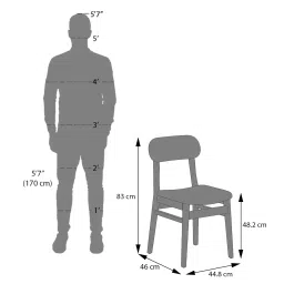 urban ladder Lunar Solid Wood Dining Chair Set of 2 In Danish Walnut Finish With Ancient Ivory Cream Leatherette Colour image 6