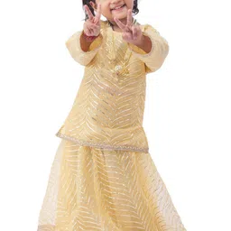 Design My Dress Bharat Embroidered Net Fit & Flare Maxi Dresses image 5