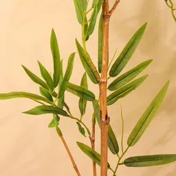 Elemntl Green Core image 4