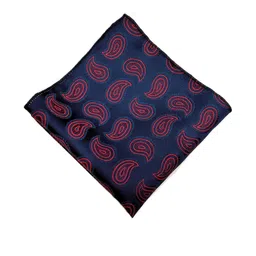 voici Paisley Design Cravats & Pocket Square Combo image 4