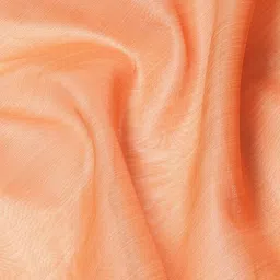 KAVINDI Zari Border Organza Saree image 2