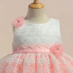 Lagorii Embroidered Net Fit & Flare Dress image 2