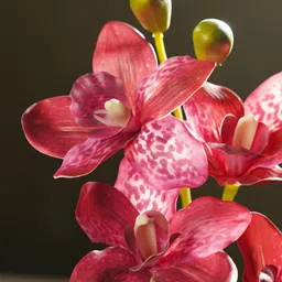 Pure Home and Living Pink 1 Pieces Chrysanthemum Artificial Flower With Pot image 4