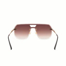 TAMZY Unisex Brown Lens & Gold-Toned Other Sunglasses with image 5