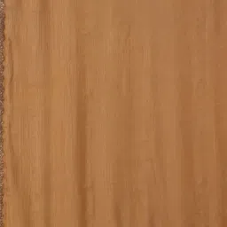 Sitanjali Embroidered Beads and Stones Pure Chiffon Saree image 2