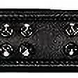 SPARROW DAUGHTER SPIKE DOG COLLAR Dog Everyday Collar image 2