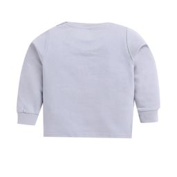 Hopscotch Boys Grey Cotton Sweatshirts-picture-37