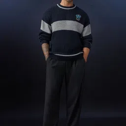 The Souled Store Men Colourblocked Ribbed Pullover with Applique Detail image 4