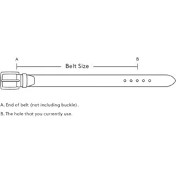 WROGN Men Textured Leather Formal Belt image 5