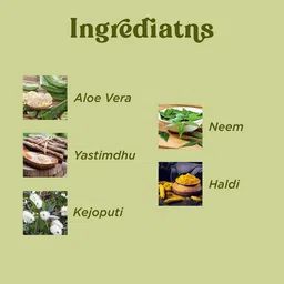 Misti Herbal Remedies Acne Prone Purifying Face Wash With Neem - 100 ml image 2