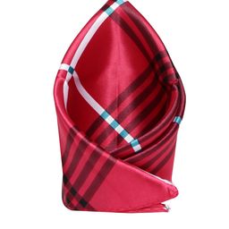 Alvaro Castagnino Men Magenta Checked Pocket Square-picture-4