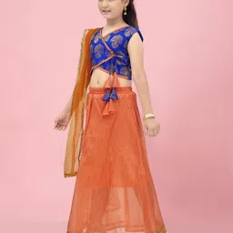 BAESD Girls Ready to Wear Lehenga & Blouse With Dupatta image 4