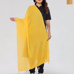 Moda Rapido Selection Of 2 Striped Dupattas With tassles & latkans-image-24