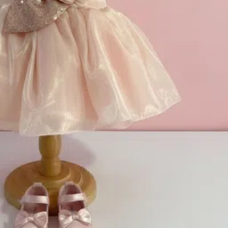 Lagorii Applique Fit & Flare Dress image 4