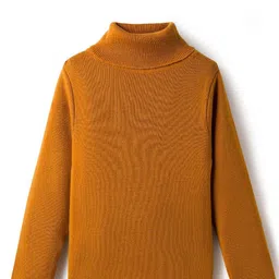RVK Kids Ribbed Turtle Neck Pullover Sweaters-image-29