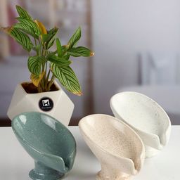 Kookee White Ceramic Soap Holder Dish-picture-7