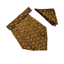 VOICI Men Gold & Brown Woven Design Cravat-picture-37