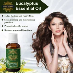 EXOTIC AROMAS Set Of 2 Eucalyptus Essential Oil - 15ml Each image 4