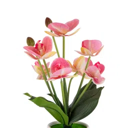 Aarvi Decor Silk Fabric Orchid Radiance Arrangement Pot With Flower image 5