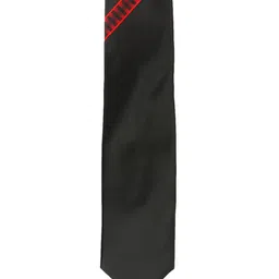 Alvaro Castagnino Men Black & Red Woven Design Skinny Tie image 3