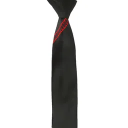 Alvaro Castagnino Men Black & Red Woven Design Skinny Tie image 5