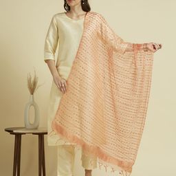 Dupatta Bazaar Woven Design Organza Dupatta with Zari-picture-23