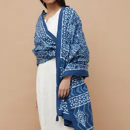 Melange by Lifestyle Ethnic Motifs Embroidered Cotton Dupatta With Solid Border image 4