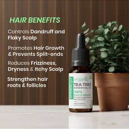 Spring H2O 100% Pure & Natural Tea Tree Essential Oil - 15 ml image 3