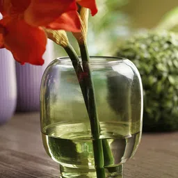 Pure Home and Living Blue & Green Glass Flower Vase-image-83