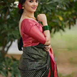 ZIKARAA Woven Design Zari Handloom Saree image 2