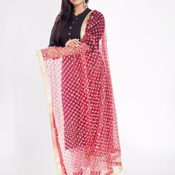 Rani Saahiba Geometric Embroidered Mirror Work Net Dupatta image 5