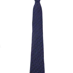 Alvaro Castagnino Men Printed Broad Tie image 2