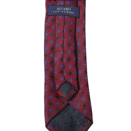 Alvaro Castagnino Men Printed Broad Tie image 2