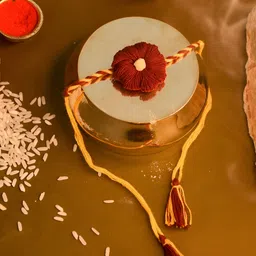Indigifts Seed Plantable Rakhi For Brother image 5