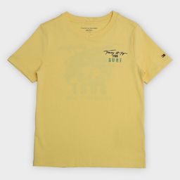 Tommy Hilfiger Outlet Collection Boys Graphic Printed Pure Cotton T-Shirt-picture-10